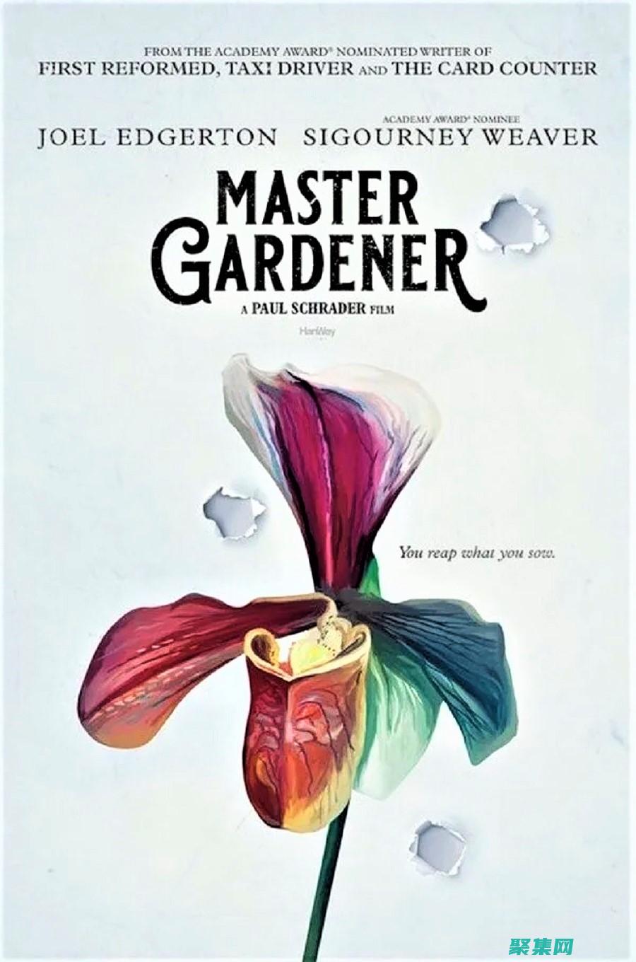 Mastering MATLAB Legends:Advanced Techniques for Enhanced Data Visualization (mastercard官網)