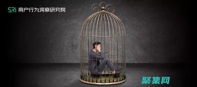 以用戶為中心：運用整站模板提升網(wǎng)站易用性和可用性 (以用戶為中心的設(shè)計)