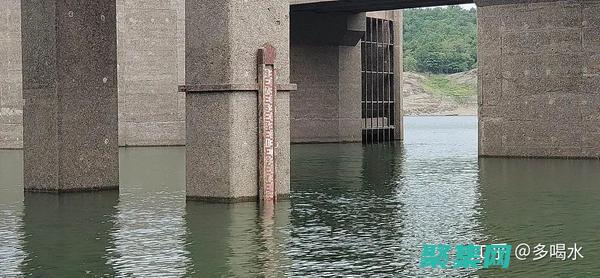 揭秘 Markdown 編輯器的強大：釋放你的寫作潛力 (揭秘mate60)