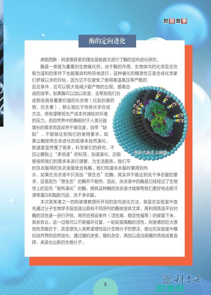 釋放系統潛力：使用進程管理工具提升性能 (釋放性能)