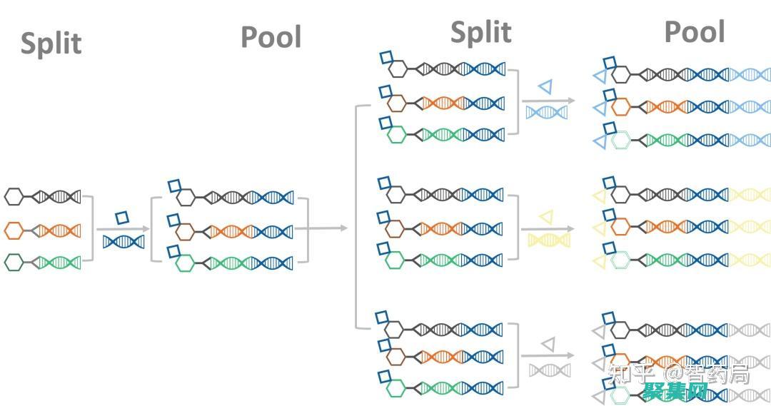利用 Delphi TreeView 的拖放功能優化用戶體驗 (利用Delphi法制定決策方案的基本步驟)
