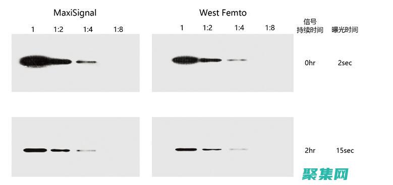 利用 Eclipse 插件優化 SVN 的工作流 (利用eclipse做android作品實例)