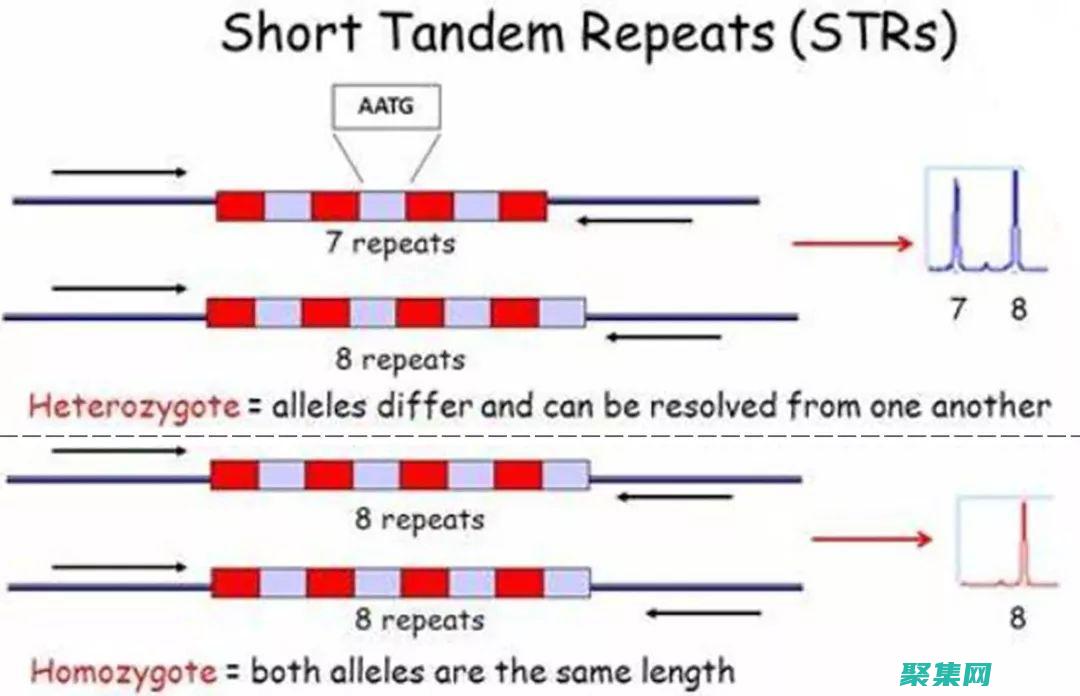 使用STC算子法要注意
