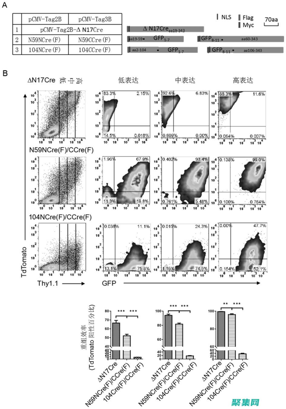 通過 createpatternbrush 提升您的設計：添加個性化筆刷的魔法 (通過CREATE TABLE語句創建一個表后)