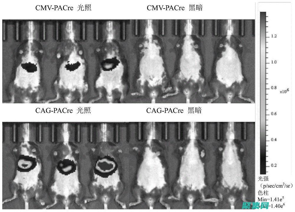 釋放 createpatternbrush 的力量：圖案筆刷的終極指南 (釋放一下心情的說說)