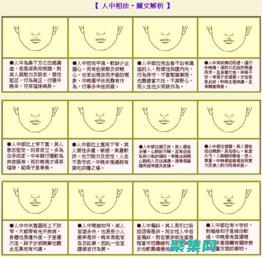 面向初學(xué)者和人士的安卓應(yīng)用案例開(kāi)發(fā)大師班
