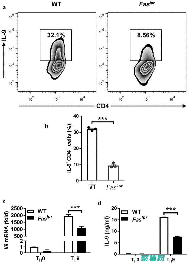 利用 FastReport 強大的報告功能：從安裝到配置 (利用fastapi構建python微服務)
