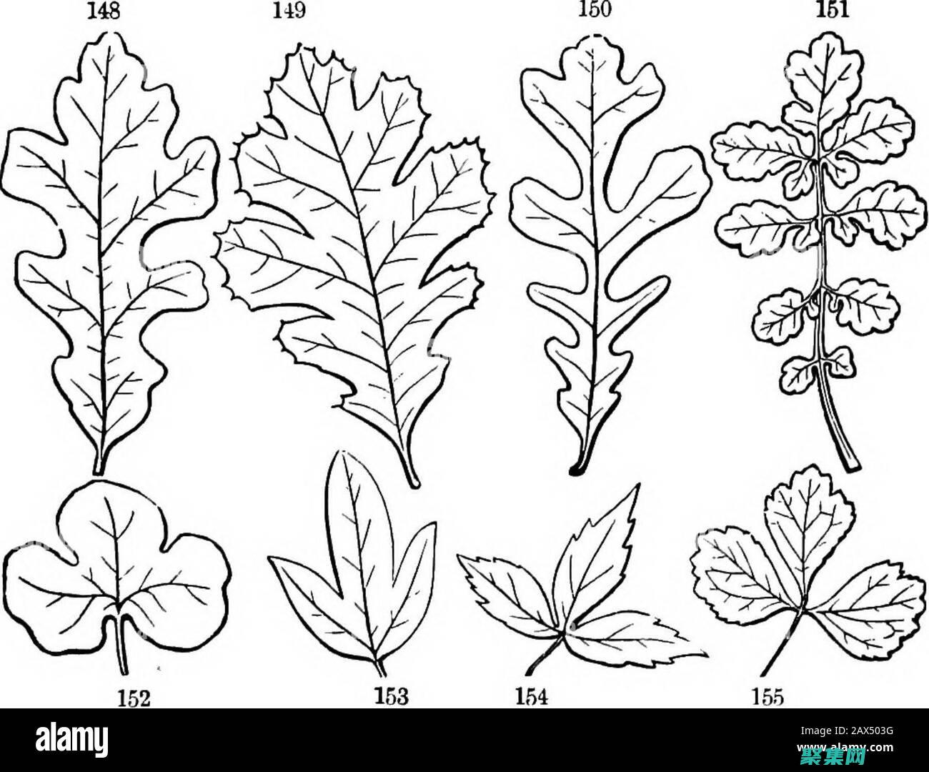 探索Leaflet：面向Web和移動應用的先進地圖工具包 (探索雷文德斯收割者之庭)