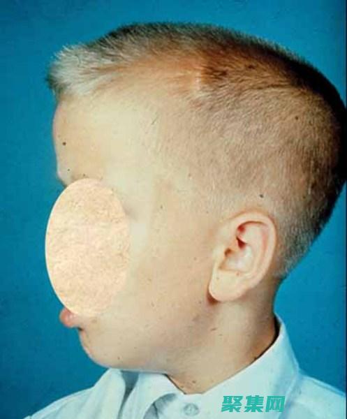 xxyy.name: 打造您的個人品牌和在線影響力 (瀉下藥有哪些中藥)