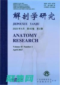 深入剖析 JSON.stringify()：將對象轉換為JSON 字符串 (深入剖析java編譯器)