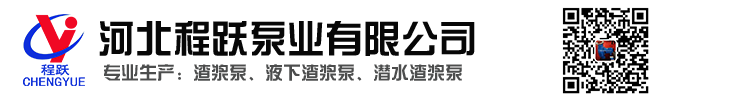 渣漿泵_ZJ渣漿泵_ZGB渣漿泵_高揚程渣漿泵_液下渣漿泵廠家_潛水渣漿泵_河北渣漿泵-河北程躍泵業有限公司