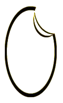 河南領(lǐng)米網(wǎng)絡(luò)科技有限公司