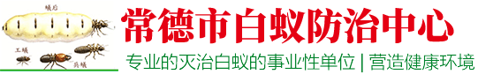 常德市白蟻防治中心【官網】手機：15581028252