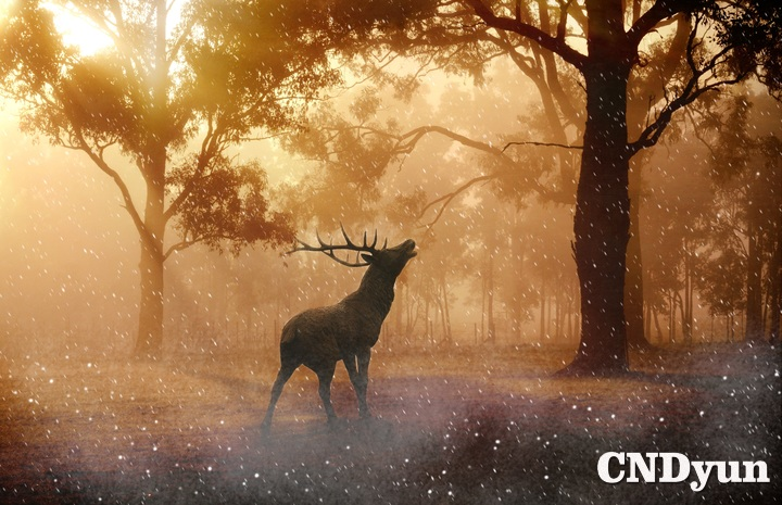 麥兜的生活分享網