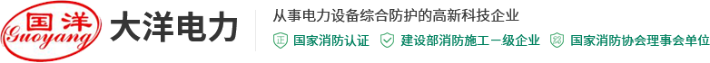 大洋電力科技集團有限公司
