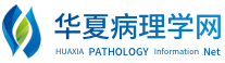 華夏病理學網