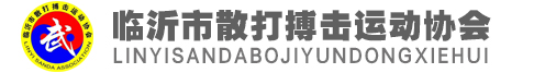 臨沂市散打搏擊運動協(xié)會
