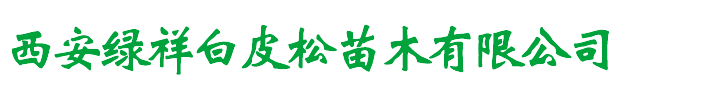 西安綠祥白皮松苗圃-陜西白皮松_白皮松_白皮松價格_1-8米白皮松17791208669
