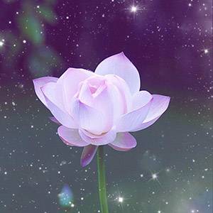 賣家內參網 - 賣家內參百科資訊網！