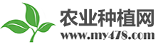農(nóng)業(yè)種植網(wǎng) - 種植技術(shù)綜合信息平臺