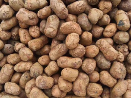 陶粒_南京浦昌建材陶粒混凝土,火山巖生產廠家