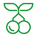 蜂糖李批發(fā)_蜂糖李_鎮(zhèn)寧蜂糖李_貴州黔城匠心網(wǎng)絡有限責任公司