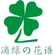 滴綠園藝-您身邊的綠植養(yǎng)護(hù)專家_綠植租擺_上海辦公室綠化！