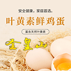 葉黃素雞蛋不只是雞蛋