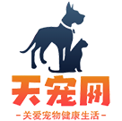 寵物狗,寵物貓,寵物知識大全_太寵網(wǎng)