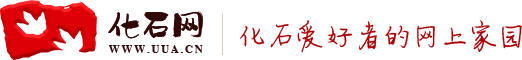 化石網(wǎng)