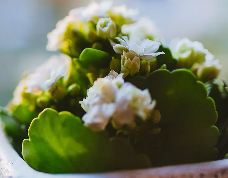 張家港市星幫尼環(huán)保科技有限公司-環(huán)境影響評估