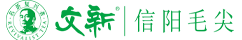 信陽文新茶葉