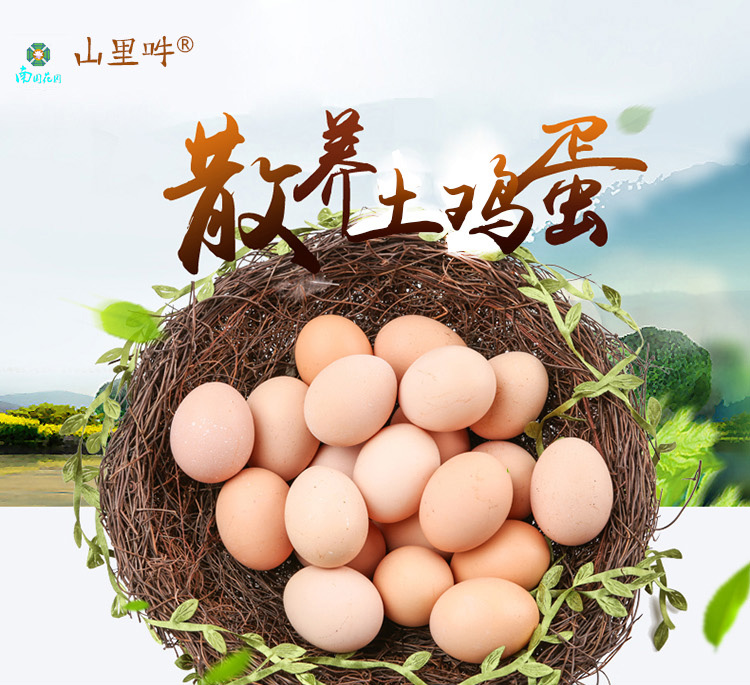 橄欖油-中國橄欖油商城-特級初榨橄欖油