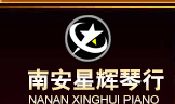 南安星輝琴行，鋼琴，二胡，架士鼓，琵琶，小提琴，電鋼琴，吉他，薩克斯，揚琴