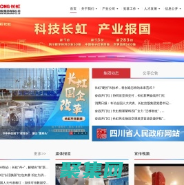 四川長虹電子控股集團有限公司