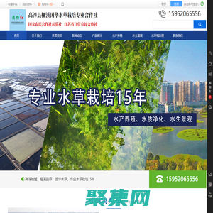 國華水草-高淳縣椏溪國華水草栽培專業合作社-國家農民合作社示范社-輪葉黑藻-芽孢-伊樂藻-四季苦草