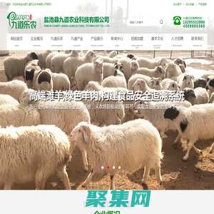 鹽池縣九道農業科技有限公司-寧夏灘羊_鹽池灘羊_寧夏羊肉