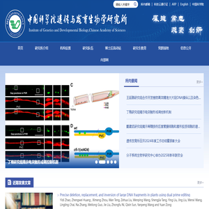 遼寧鑫興實業集團有限公司