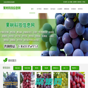 葡萄苗木|果樹苗木_果樹科技信息網