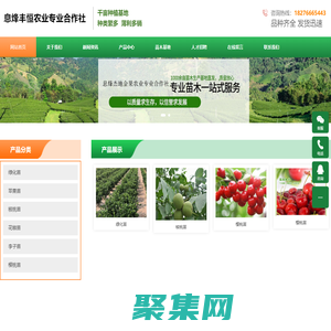 貴州l綠化苗批發|貴陽苗木批發|貴州苗木基地|-息烽豐恒農業專業合作社