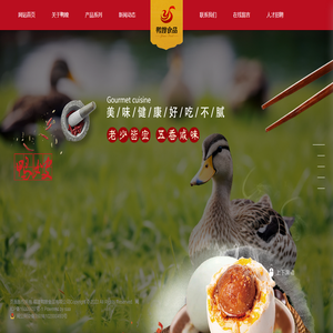 成都網站設計_微信小程序APP開發_成都網站建設-hidns