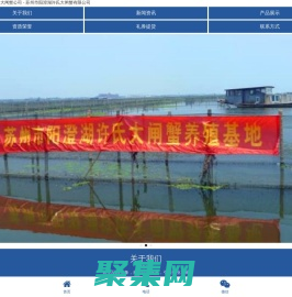 蘇州市陽(yáng)澄湖許氏大閘蟹公司 - 蘇州市陽(yáng)澄湖許氏大閘蟹有限公司