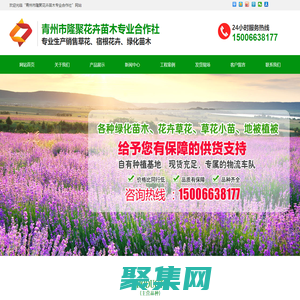 青州市隆聚花卉苗木專業(yè)合作社