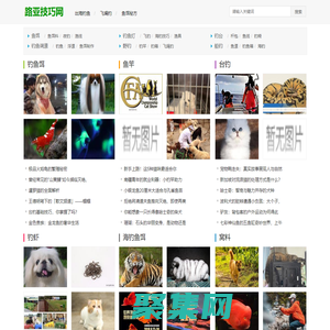 鉤餌,飛蠅釣竿知識網_路亞技巧網